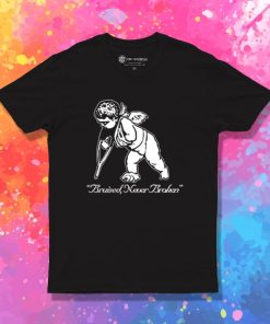 Bruised Never Broken T Shirt