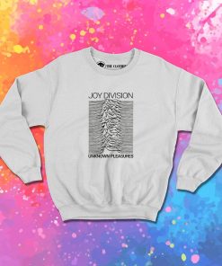 1980 Joy Division Vintage Rare Concert Tour Sweatshirt 1.jpeg