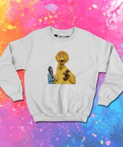 Big Bird Kacey Musgraves Sweatshirt 1.jpeg