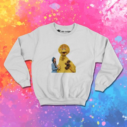 Big Bird Kacey Musgraves Sweatshirt 1.jpeg