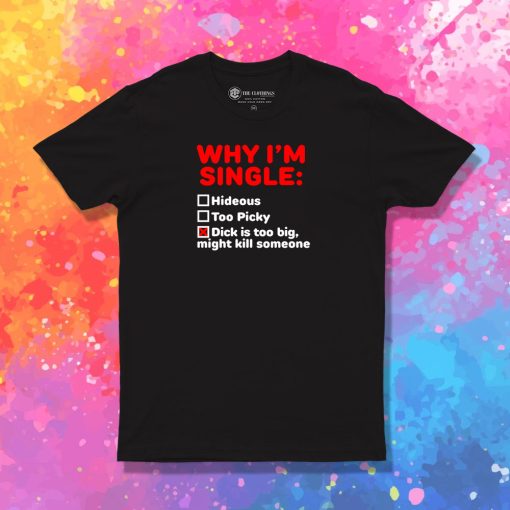 Why I'm Single Hideous Too Picky Dick Is Too Big T Shirt