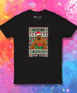 Barry Wood I Have A Big Package For You Christmas Ugly T Shirt