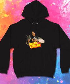 A Dam Megan thee Stallion Hoodie 1.jpeg