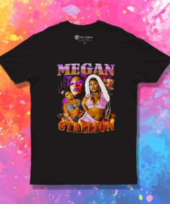 Megan Thee Stallion Vintage T Shirt 1.jpeg