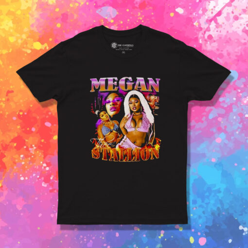 Megan Thee Stallion Vintage T Shirt 1.jpeg